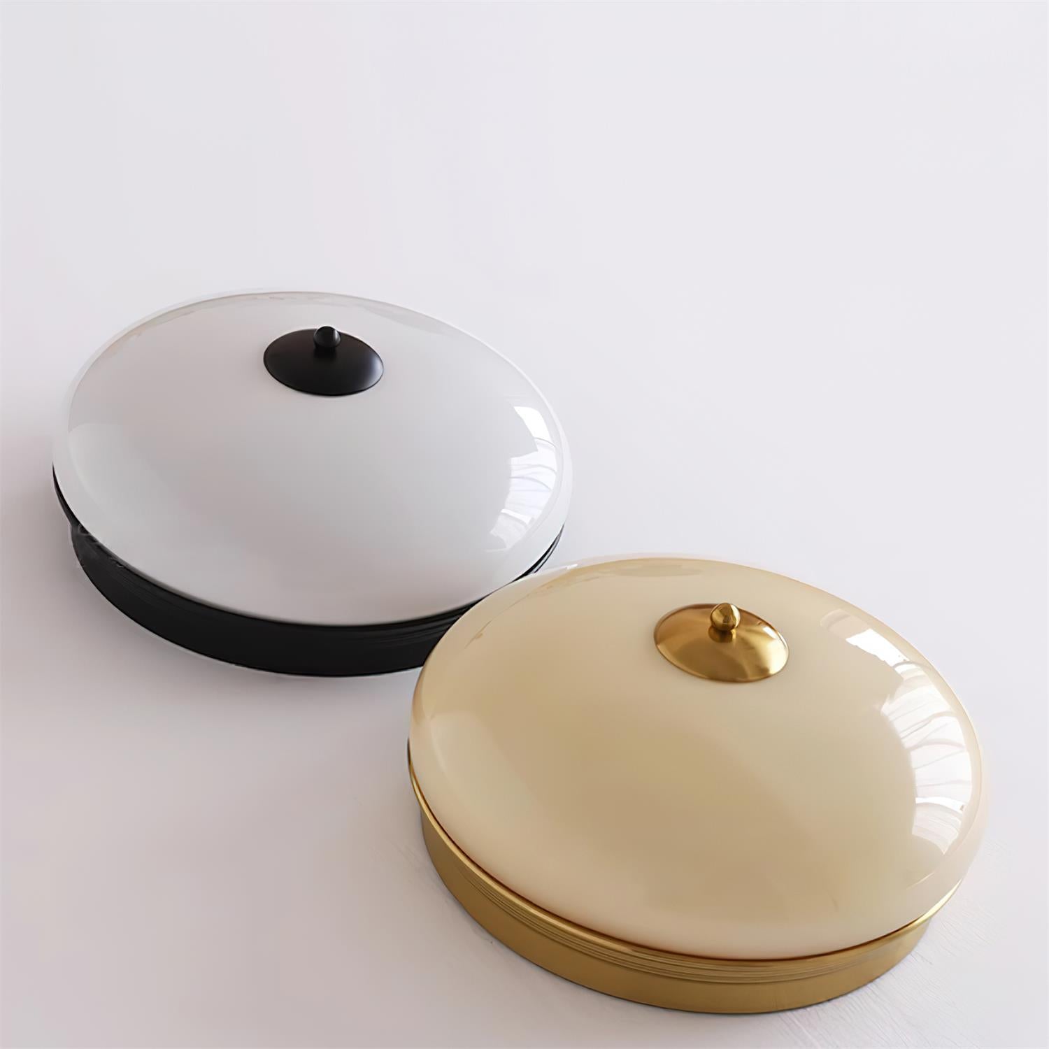 Elaalian Ceiling Light