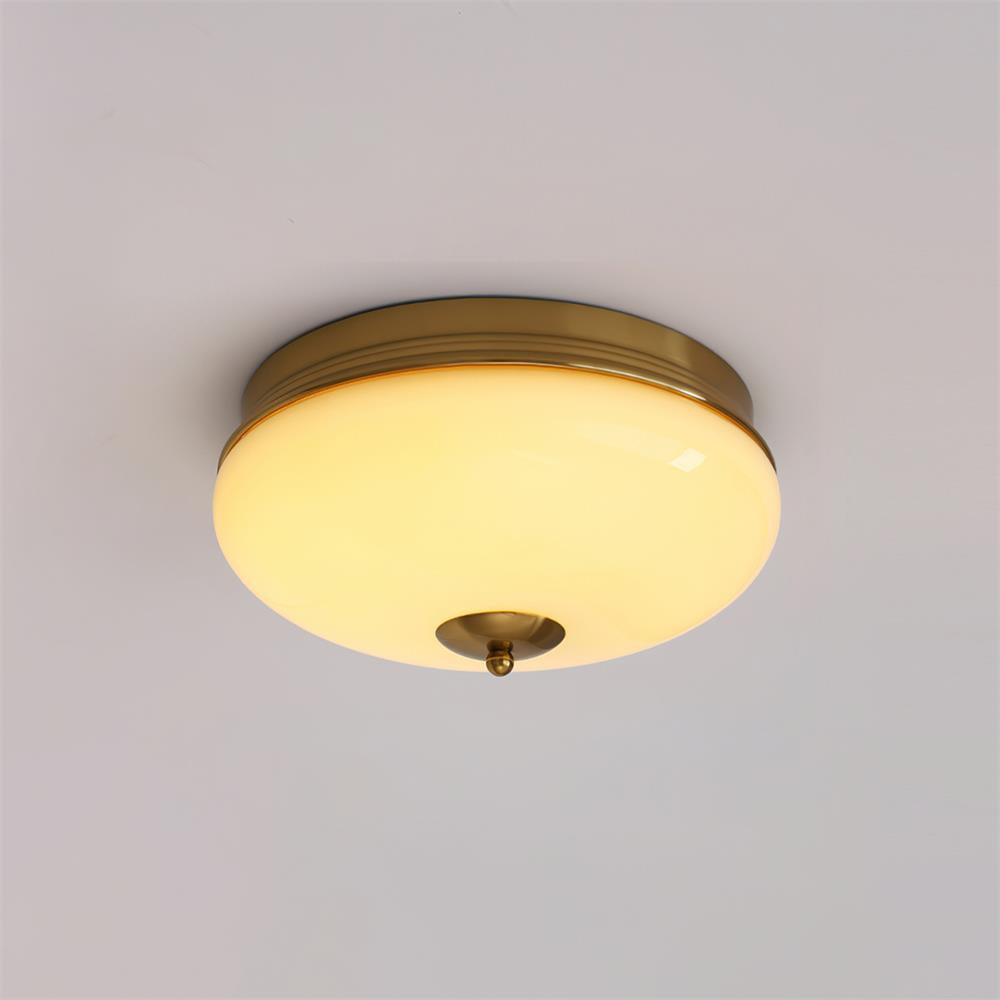 Elaalian Ceiling Light