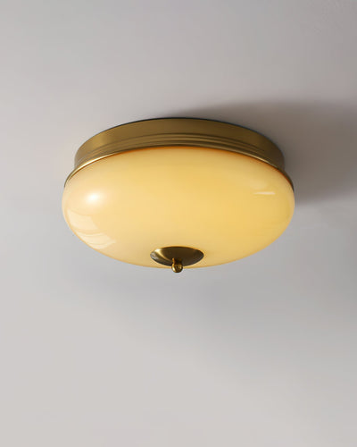 Elaalian Ceiling Light