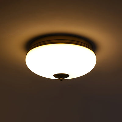 Elaalian Ceiling Light
