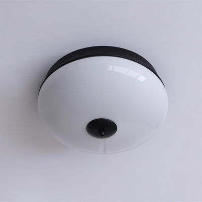 Elaalian Ceiling Light