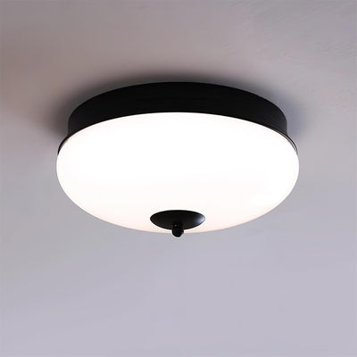 Elaalian Ceiling Light