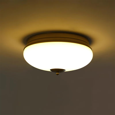 Elaalian Ceiling Light