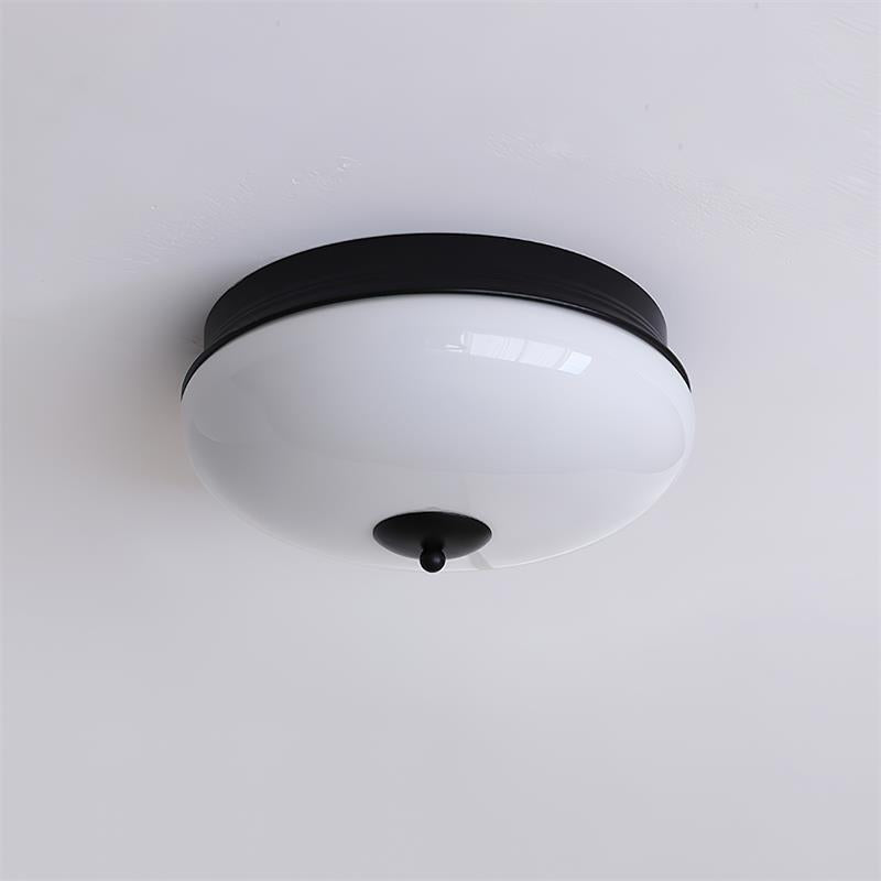 Elaalian Ceiling Light