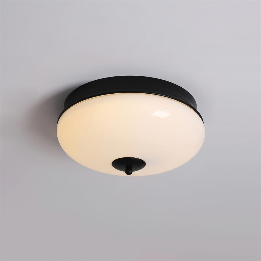 Elaalian Ceiling Light