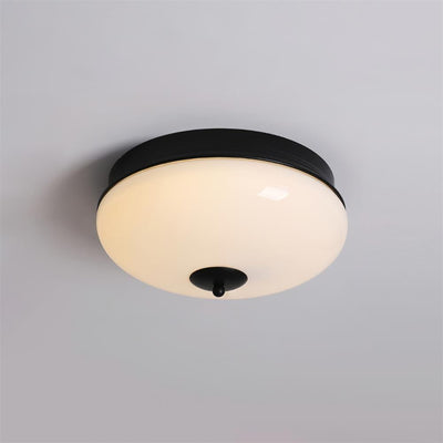 Elaalian Ceiling Light