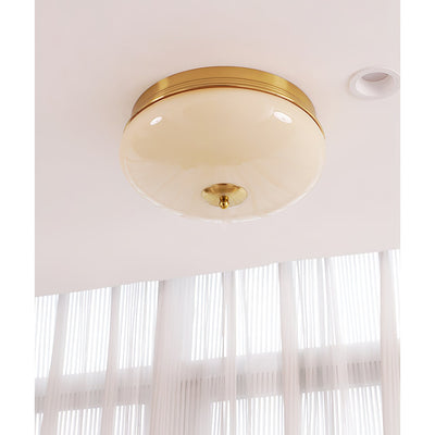 Elaalian Ceiling Light