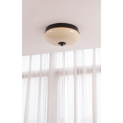 Elaalian Ceiling Light