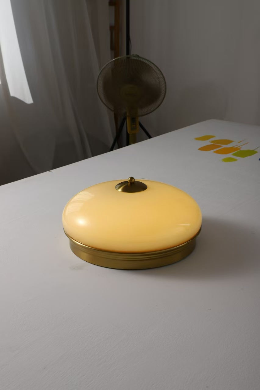 Elaalian Ceiling Light
