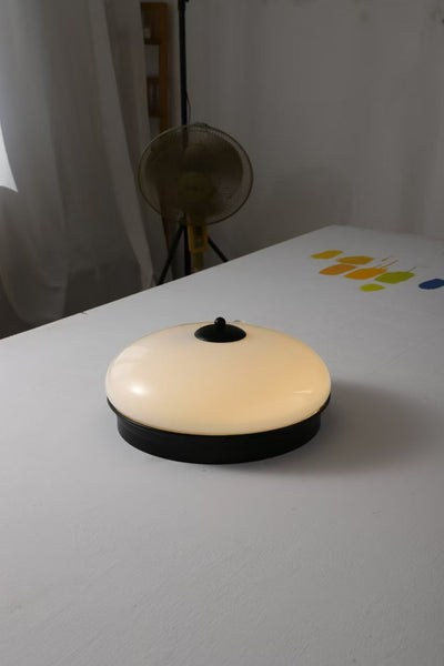 Elaalian Ceiling Light