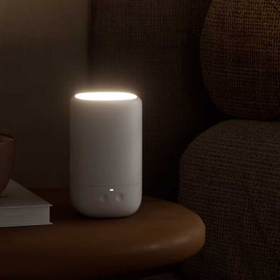 Samson Minimalist Table Light