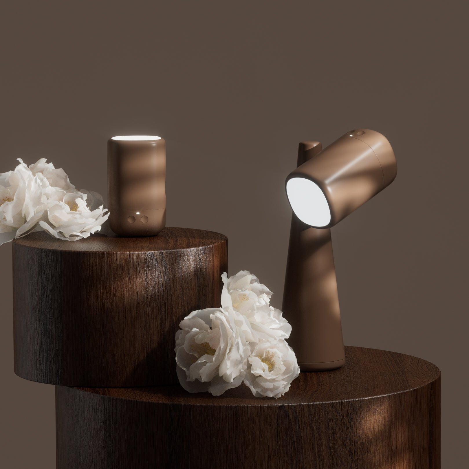 Samson Minimalist Table Light