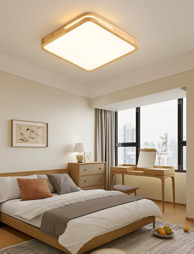 Vizoros Modern Minimalist Ceiling Light