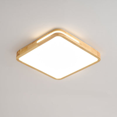 Vizoros Modern Minimalist Ceiling Light