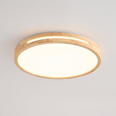 Vizoros Modern Minimalist Ceiling Light