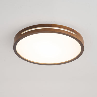 Vizoros Modern Minimalist Ceiling Light