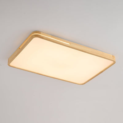 Vizoros Modern Minimalist Ceiling Light