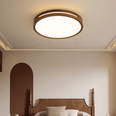 Vizoros Modern Minimalist Ceiling Light