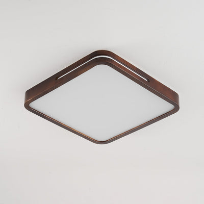 Vizoros Modern Minimalist Ceiling Light