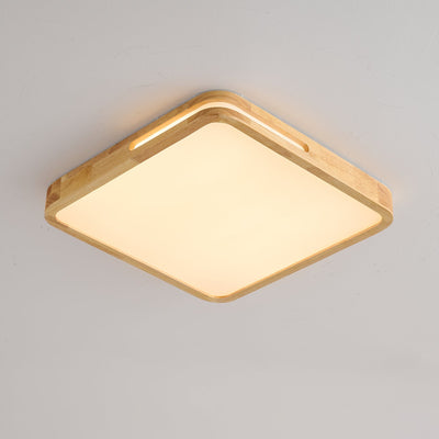 Vizoros Modern Minimalist Ceiling Light