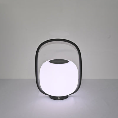Rivoel Clear PE Outdoor Light