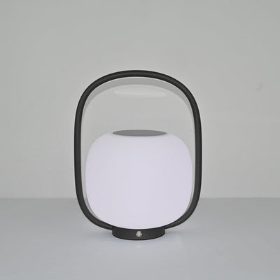 Rivoel Clear PE Outdoor Light
