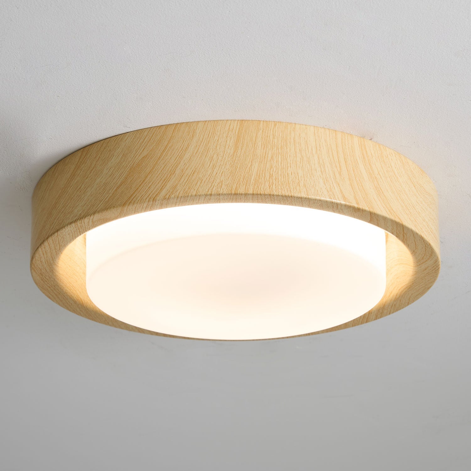 Terienine Lunor Ring Ceiling Light