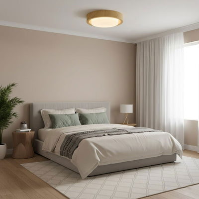 Terienine Lunor Ring Ceiling Light