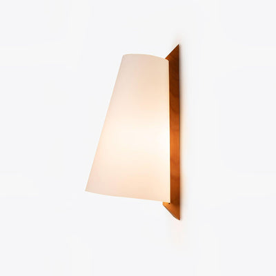 Miriam Modern Minimalist Plastic Wall Lamp