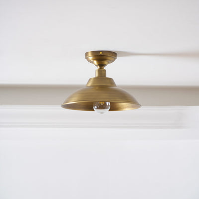 Aveneraine Ceiling Lamp