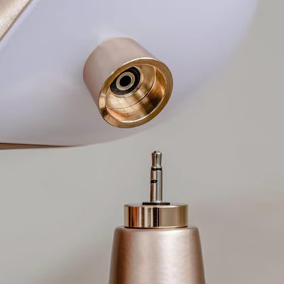 Selenaine Modern Table Lamp