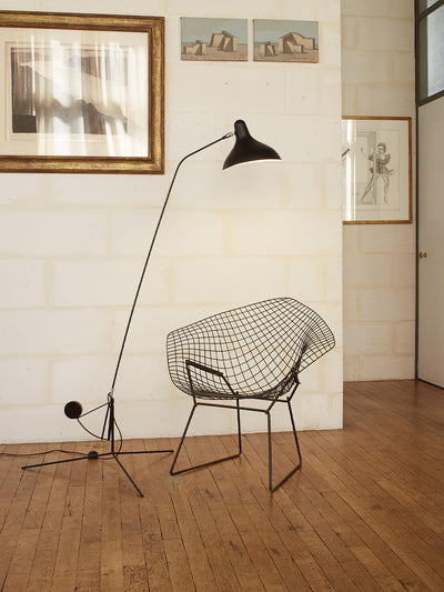 ArcMotion Mantis Arm Floor Lamp