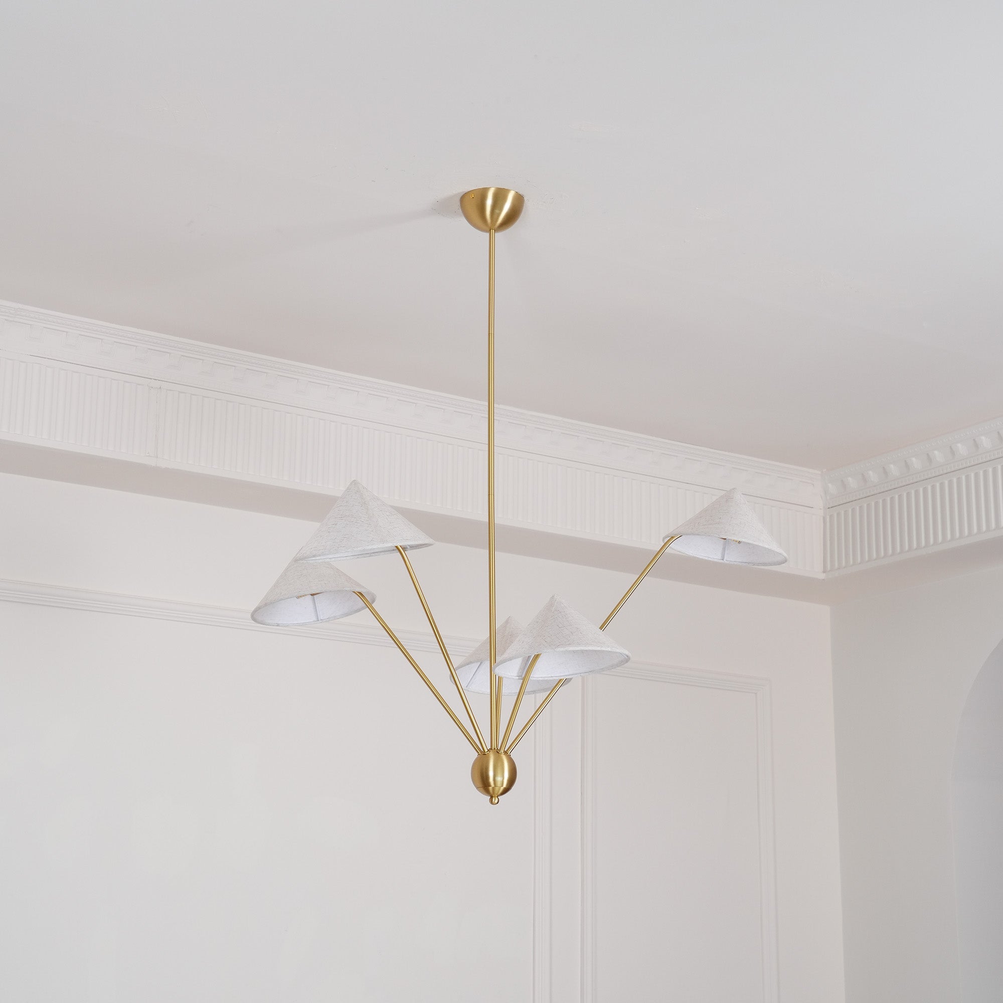 Elaorissa Chandelier