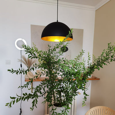 Renorira Pendant Lamp Dome Bowl for Dining Room