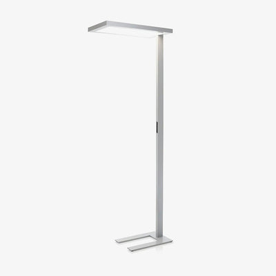 Cithaara Sleek Floor Lamp