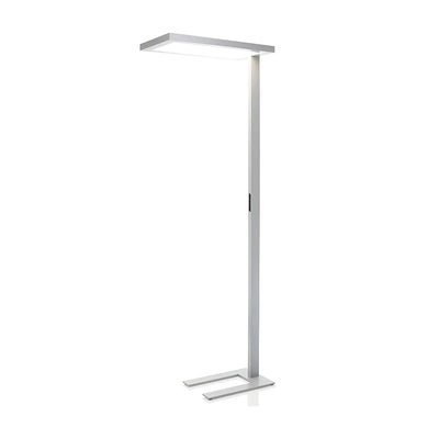 Cithaara Sleek Floor Lamp