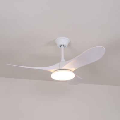 Miriveon Drift Ceiling Fan Light