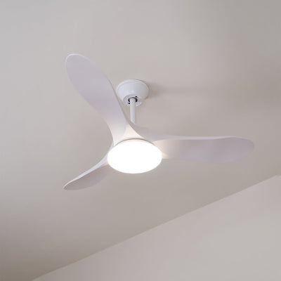 Miriveon Drift Ceiling Fan Light