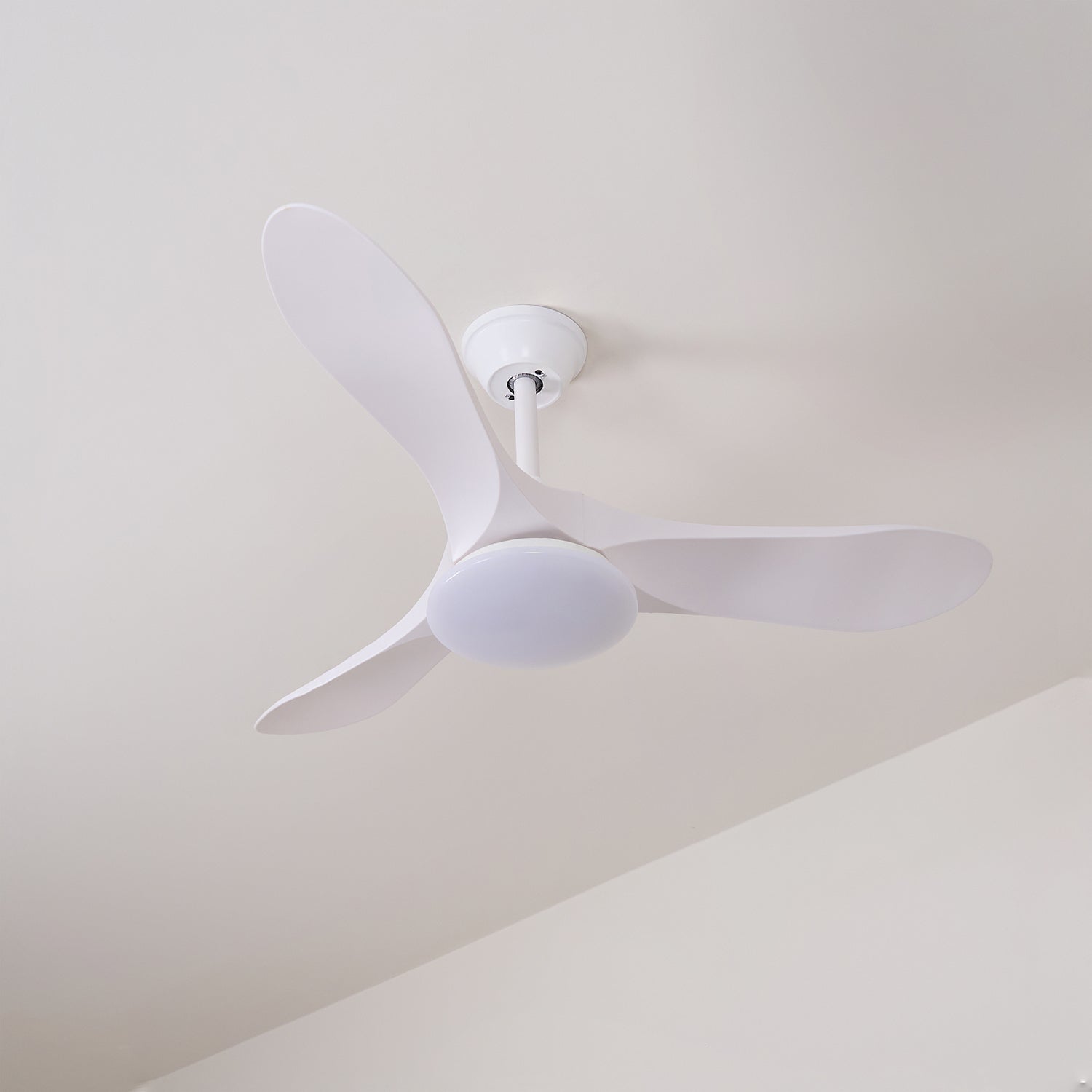 Miriveon Drift Ceiling Fan Light
