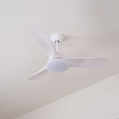Miriveon Drift Ceiling Fan Light