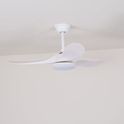 Miriveon Drift Ceiling Fan Light