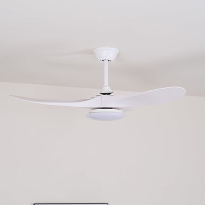 Oriken Minimalist Ceiling Fan Light