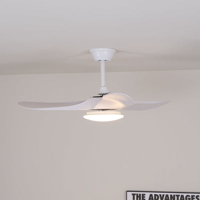 Oriken Minimalist Ceiling Fan Light