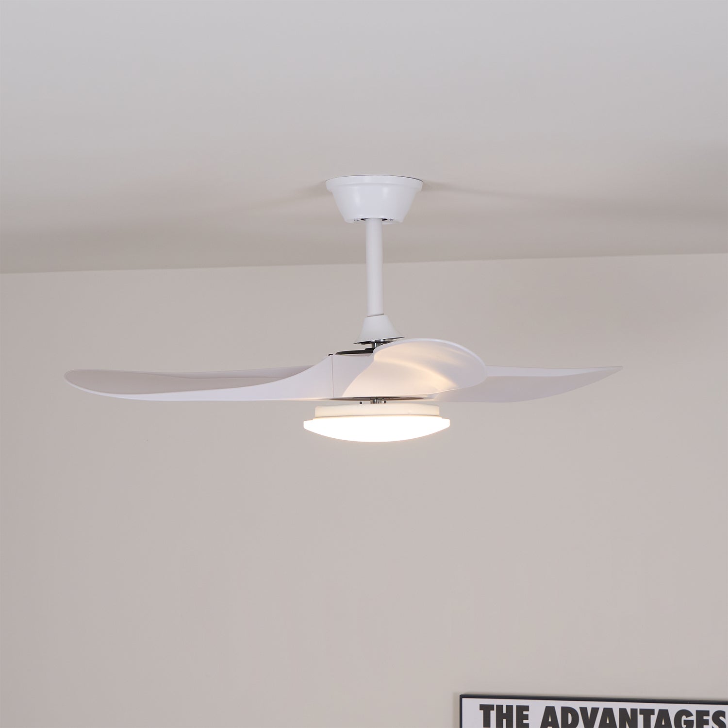 Miriveon Drift Ceiling Fan Light