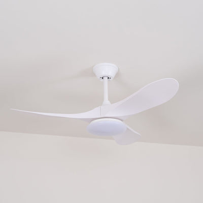 Miriveon Drift Ceiling Fan Light