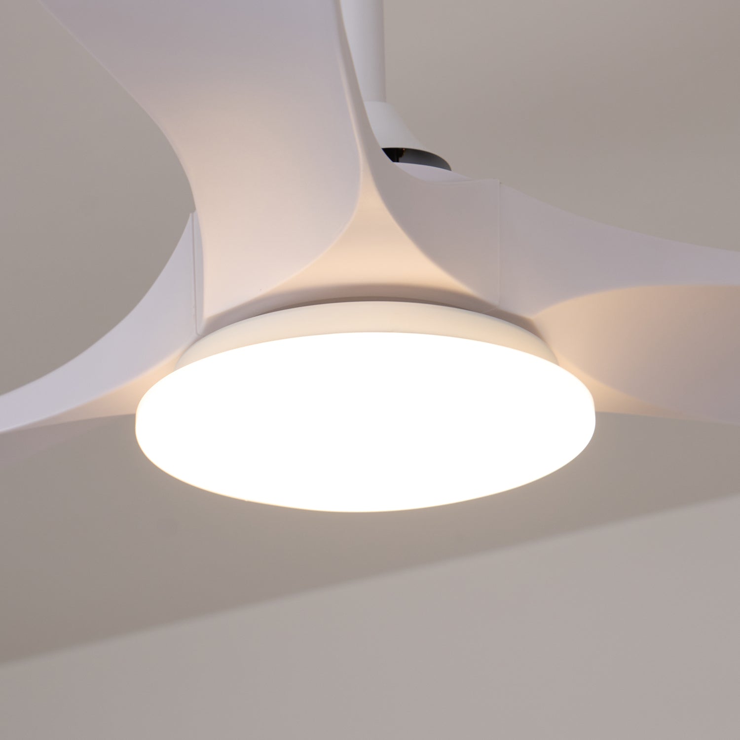 Oriken Minimalist Ceiling Fan Light
