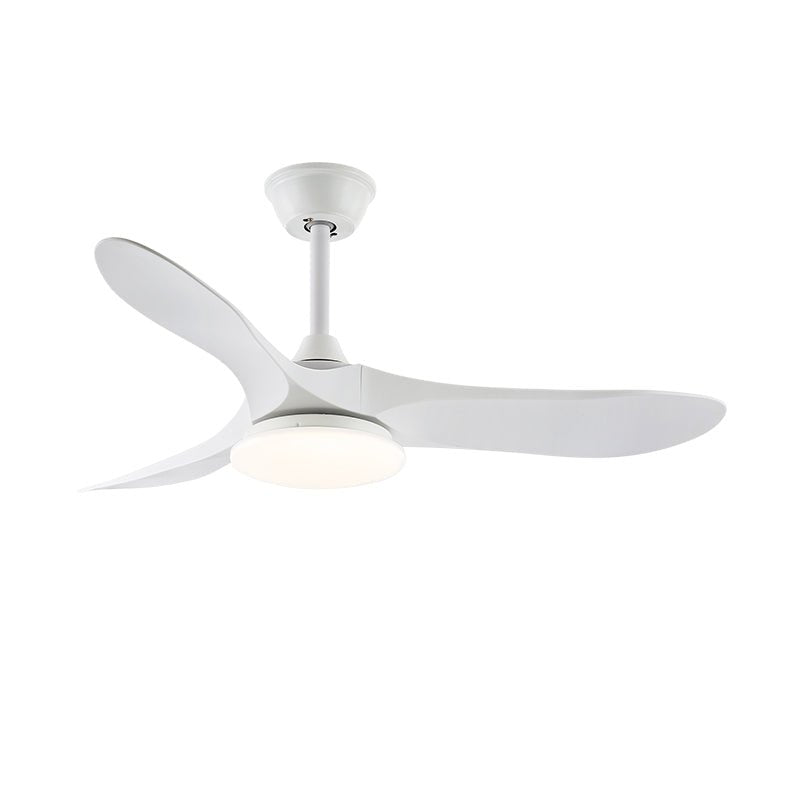 Miriveon Drift Ceiling Fan Light