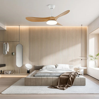 Miriveon Drift Ceiling Fan Light