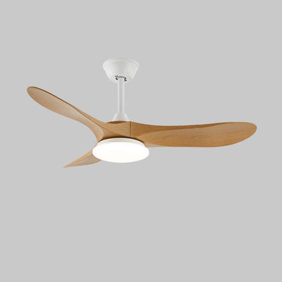 Miriveon Drift Ceiling Fan Light