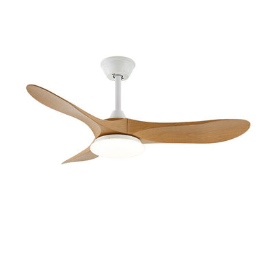 Oriken Minimalist Ceiling Fan Light